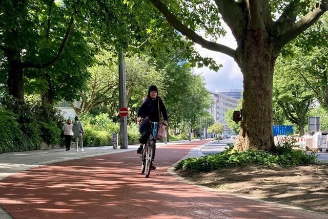 Laut Zählungen der Stadt sind mehr Dortmunder mit dem Fahrrad unterwegs.