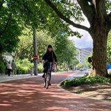Laut Zählungen der Stadt sind mehr Dortmunder mit dem Fahrrad unterwegs.