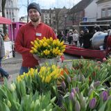 Ein Blumenverkäufer hält beim Hollandmarkt in Schwerte Tulpen in den Händen.