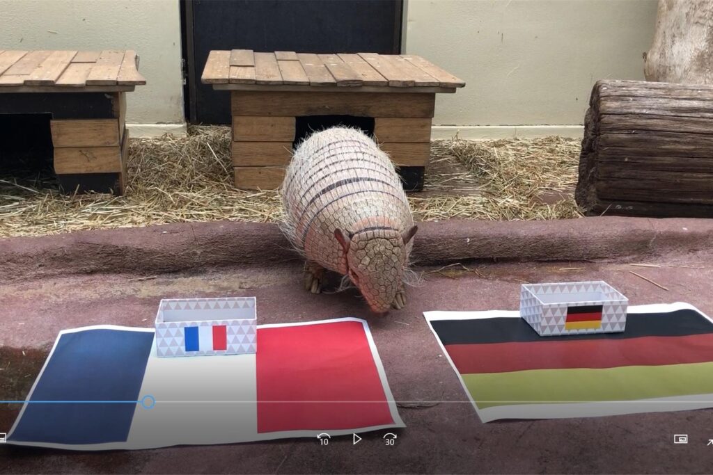 Kasimir als Orakel bei der Fußball-EM 2021. Kasimir als Orakel bei der Fußball-EM 2021.
