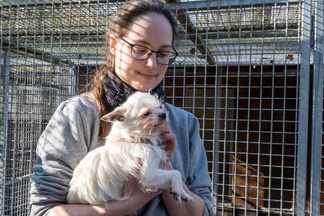 Tierpflegerin Vanessa Ballweg hält einen der Hunde, die im Februar aus einer Wohnung in der Nordstadt geholt wurden.