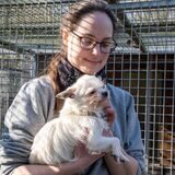 Tierpflegerin Vanessa Ballweg hält einen der Hunde, die im Februar aus einer Wohnung in der Nordstadt geholt wurden.