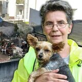 Montage: Gabriele Bayer vor einem Foto der Terrasse, die den 41 Hunden als Auslauf gedient hat.