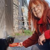 Ellen Heckmann von den Tierfreunden Kamen füttert eine Katze.