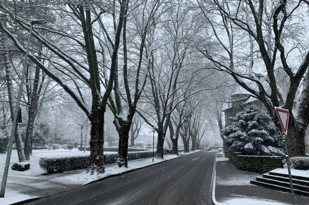Eine zugeschneite Allee ist zu sehen.