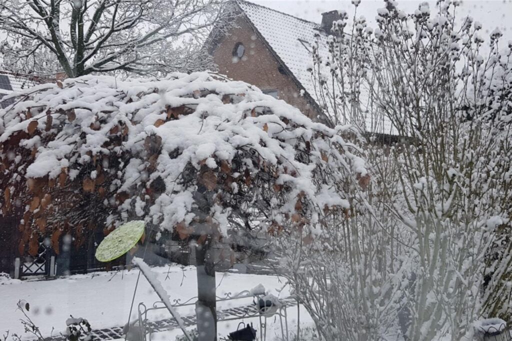 Zu sehen ist ein mit Schnee bedeckter Baum, an dem ein Sonnenfinder hängt.