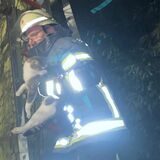 Feuerwehr in Langern hat am Sonntag eine Katze aus einem Baum gerettet.