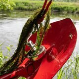 Eine Schaufel hängt beim Angeln mit einem Magneten an einem Seil. Bei dieser besonderen Art des Angelns wird ein Magnet an einer Schnur oder einem Seil befestigt und durch das Wasser gezogen. Die Angler versuchen auf diese Weise, metallische Gegenstände zu bergen (Symbolfoto).