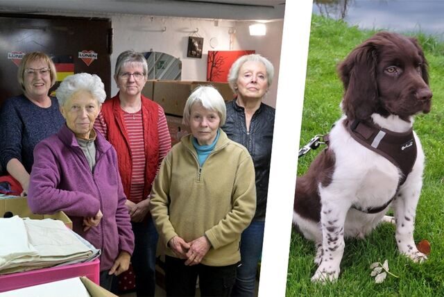 Das Bild zeigt das Team der Kleiderkammer der evangelischen Kirchengemeinde Brambauer – hintere Reihe (v.l.n.r.): Agnes Piette, Rita Joosten, Lisa Hübner, Dagmar Stephan. Vorne im Bild: Marlene Lohmann (l.) und die Leiterin Brigitte Gödeke. Rechts Hund George.