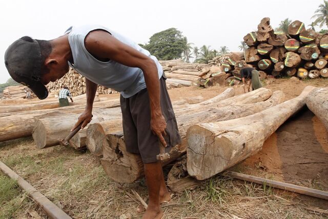 Das Archivbild zeigt einen Arbeiter in einer Teakholz-Fabrik in Myanmar. Teak aus dem Land darf in die EU nicht mehr eingeführt werden.