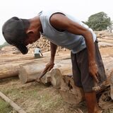 Das Archivbild zeigt einen Arbeiter in einer Teakholz-Fabrik in Myanmar. Teak aus dem Land darf in die EU nicht mehr eingeführt werden.