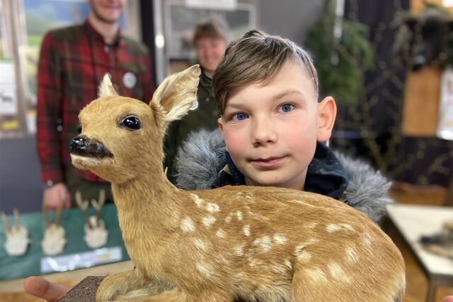 Phillip (10) mag das Rehkitz, doch der Fünftklässler der Theodor-Fleitmann-Gesamtschule sagt auch: „Das Fuchsfell ist richtig schön weich.“ An der TFG findet gerade die Waldwoche für alle Fünfer statt.