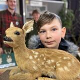 Phillip (10) mag das Rehkitz, doch der Fünftklässler der Theodor-Fleitmann-Gesamtschule sagt auch: „Das Fuchsfell ist richtig schön weich.“ An der TFG findet gerade die Waldwoche für alle Fünfer statt.