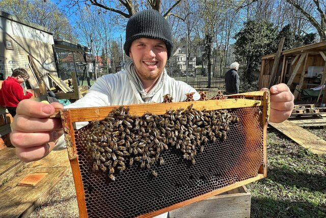 Jan Bahl bleibt trotz der vielen Bienen immer ruhig.