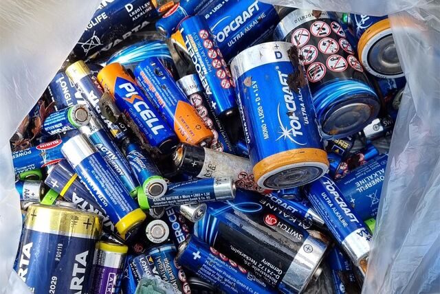 Rund 60 Batterien hat eine Anwohnerin aus ihrer Hecke in der Dürerstraße gefischt.