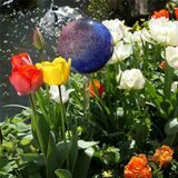 Im Garten von Ingrid Martini blüht es schon ganz prächtig.