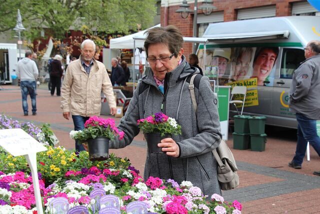 Eine Frau sucht an einem Stand beim Blumenmarkt auf der Präsidentenstraße in Bergkamen Blumen aus.