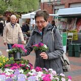 Eine Frau sucht an einem Stand beim Blumenmarkt auf der Präsidentenstraße in Bergkamen Blumen aus.