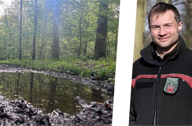 Der Cappenberger Förster Elmar Berks macht sich um einen Brand in seinem Forst aktuell wenig Gedanken. Dank Kooperation mit der Feuerwehr sei man für einen Ernstfall aber gut gerüstet.