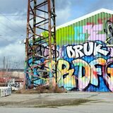 Die Stadt hatte den alten Güterschuppen zusammen mit anderen Bahn-Immobilien an der Margot-Röttger-Rath-Straße gekauft und zum legalen Sprühen freigegeben.