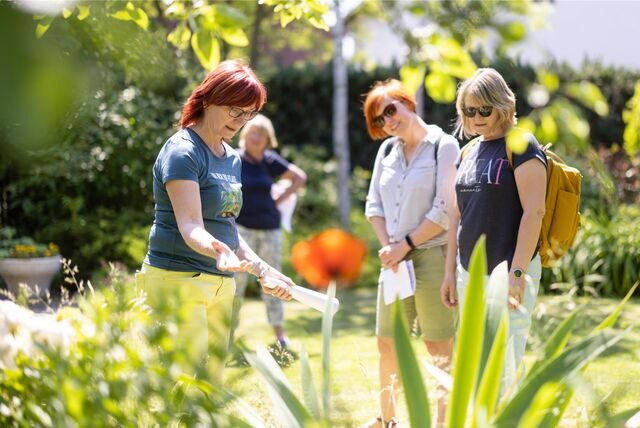Beim IGA-Mittmach-Wettbewerb „Grüner Vorgarten“ winkt Teilnehmenden in Lünen ein Preisgeld.