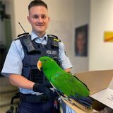 Zwischenstation Polizeiwache: Der herrenlose grüne Papagei hat inzwischen zu seinem Besitzer zurückgefunden.