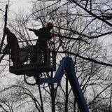 Baumpflegearbeiten und eine Baumfällung sind die Gründe für Vollsperrungen von Straßen in Fröndenberg.