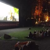 Der Siegerfilm für das Open-Air-Kino am 12. August in der Freilichtbühne Werne steht fest.