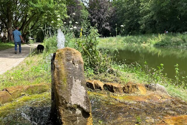 Der Teich im Bornekamp verliert Wasser durch Verdunstung und Versickerung, erhält Zulauf durch einen Quellenstein von Gelsenwasser (Bild) und nur bei hohen Pegelständen nach Regentagen aus dem überströmenden Kortelbach. Dass der Wasserstand im Becken schwankt und der Teich in Dürrephasen sogar ganz trocken fallen kann, will die Stadt Unna offenbar hinnehmen.