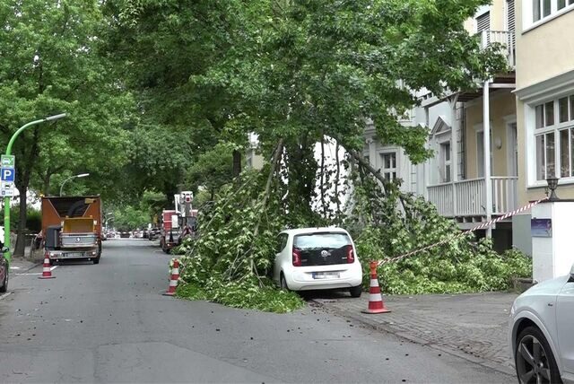 An der Friedrich-Karl-Straße in der östlichen Innenstadt krachten Teile eines Baumes auf Fahrbahn und ein parkendes Auto.