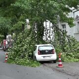 An der Friedrich-Karl-Straße in der östlichen Innenstadt krachten Teile eines Baumes auf Fahrbahn und ein parkendes Auto.