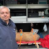 Wegen der Bombenentschärfung war am Mittwochabend (5.7.) die Ruhrallee gesperrt.