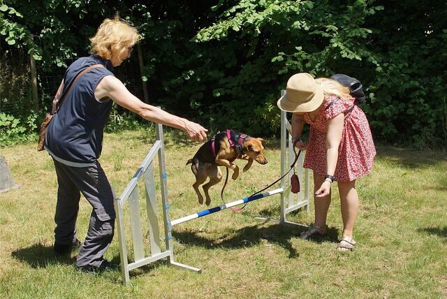 Beim Sommerfest vom Verein „Unser Hundegarten“ in Holzwickede konnten die Tiere einen kleinen Hindernisparcours absolvieren.