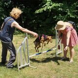 Beim Sommerfest vom Verein „Unser Hundegarten“ in Holzwickede konnten die Tiere einen kleinen Hindernisparcours absolvieren.