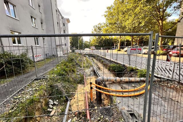 Sprießende Pflanzen in der Baugrube zeugen davon, dass es einige Wochen keinen Fortschritt gab.