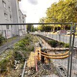 Sprießende Pflanzen in der Baugrube zeugen davon, dass es einige Wochen keinen Fortschritt gab.