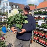 Detlef Nolte von Blumen Berndt steht gerne auf dem Werner Wochenmarkt.