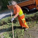 Jutta Göller von der Grün-Kolonne harkt auf dem Gehweg an der Selmer Straße die Grün-Reste zusammen.