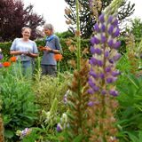 Garten Eden in Schwerte