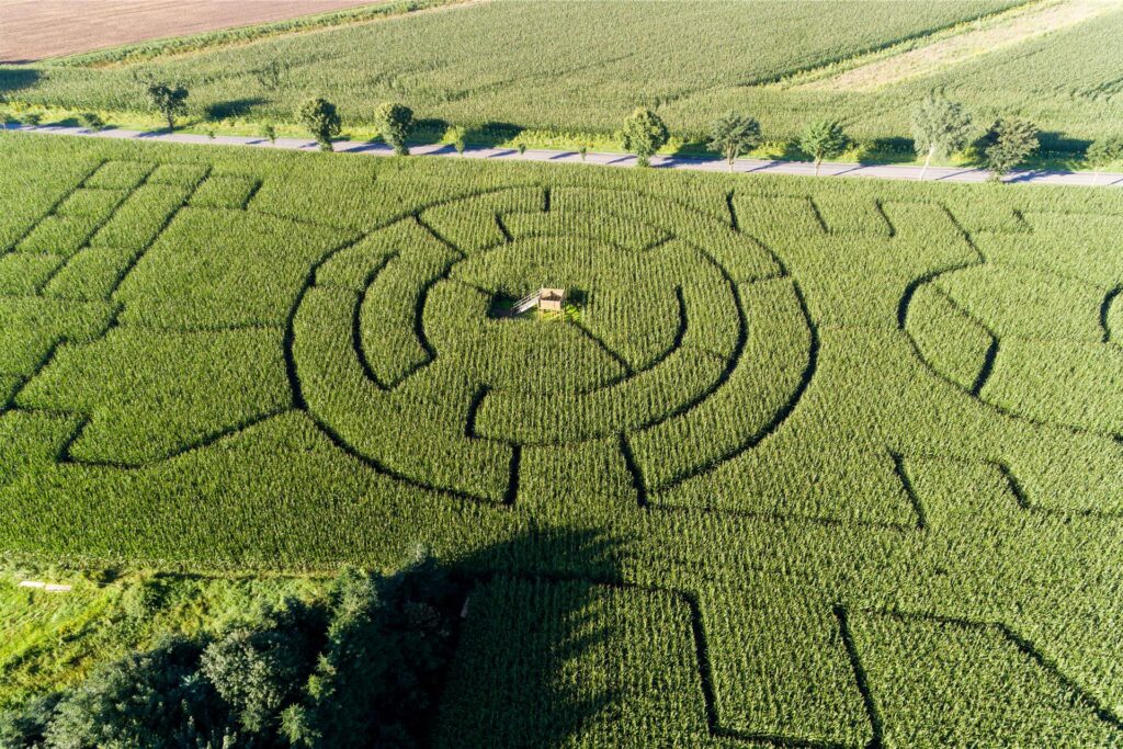 Familienspaß: Maislabyrinthe in NRW Familienspaß: Maislabyrinthe in NRW