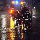 news4 Video-Line
