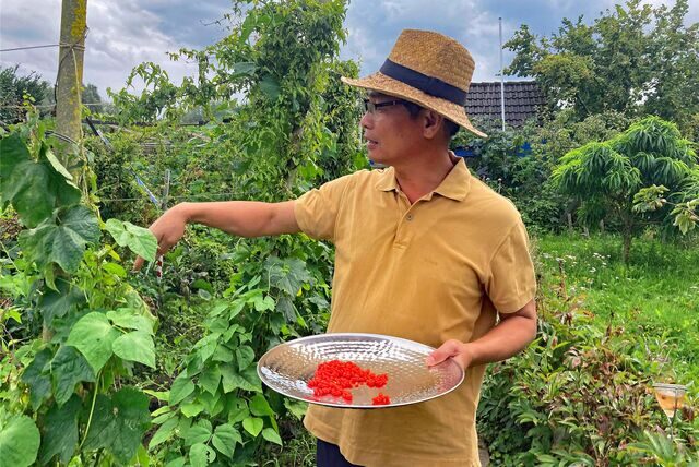 Garten in der Kleingartenanlage Amsel in Schwerte, Fenyong Lu