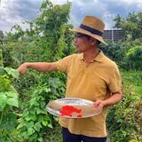 Garten in der Kleingartenanlage Amsel in Schwerte, Fenyong Lu