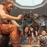 Naturmuseum in Dortmund
