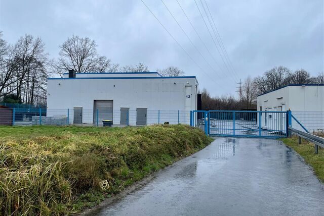 Auf einem Schlachthof in Selm mussten junge Rinder notgetötet werden.