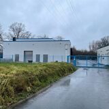 Auf einem Schlachthof in Selm mussten junge Rinder notgetötet werden.