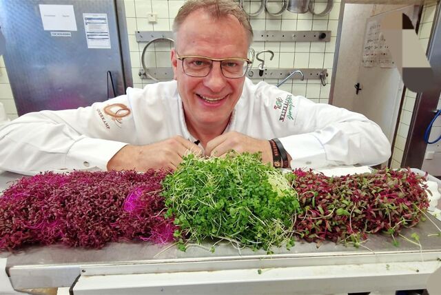 Sie sehen nicht nur supergesund aus – sie sind es auch. Koch Günther Overkamp liebt selbst gezogene Sprossen. Er verrät in seiner Kolumne, wie man sie zuhause herstellt und wie sie am besten schmecken. Nämlich aus der Pfanne.