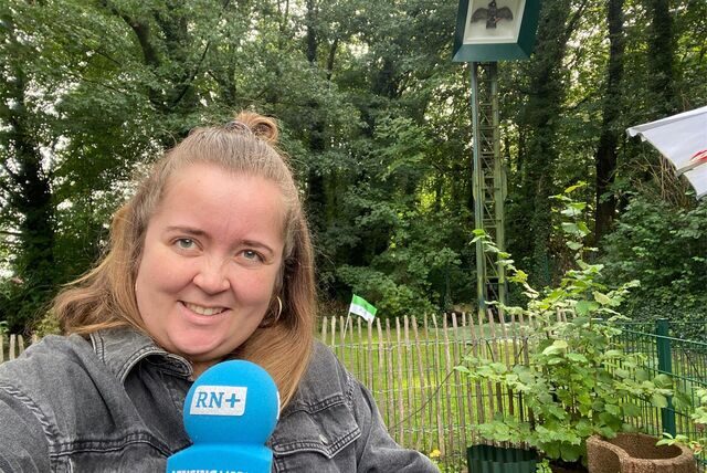 Wer wird neuer Regent des Schützenvereins von 1332? Unsere Reporterin Johanna Wiening berichtete live vor Ort.