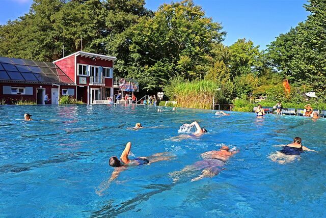 Das Freibad Elsebad. Besucher schwimmen im Sportbecken.