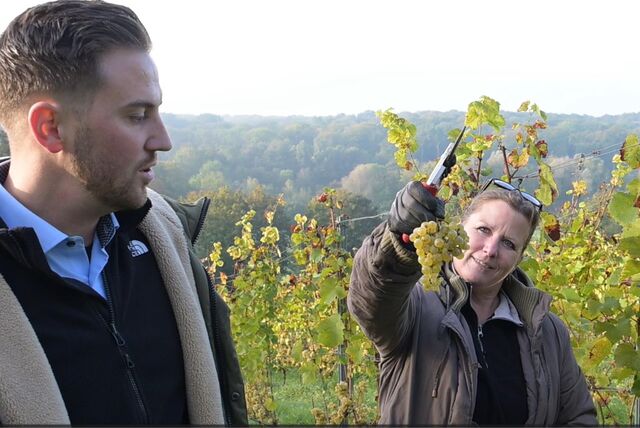 Marc Leitis, Leiter des gräflichen Weinguts in Lorch, ist nach Cappenberg gekommen, um Winzerin Carola Raffel und ihrem Team bei der Weinlese zu helfen. Mit der Qualität der Trauben sind beide zufrieden.
